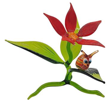 Blüte mit Schnecke / Blüte rot